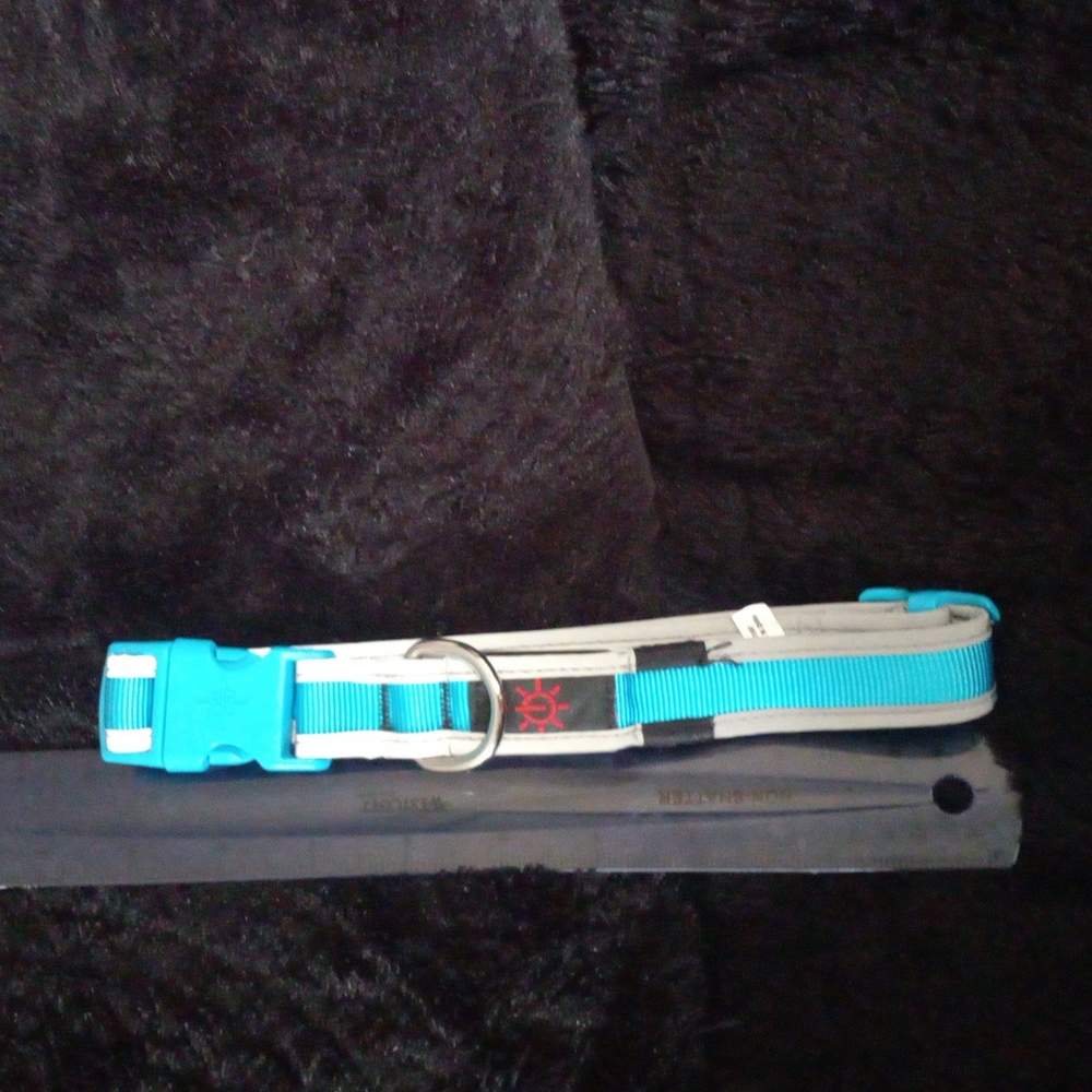 Good2Go LED Light-Up Collar for Dogs in Blue Small